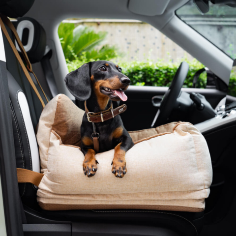Hond Autostoel – Comfort En Veiligheid In De Auto