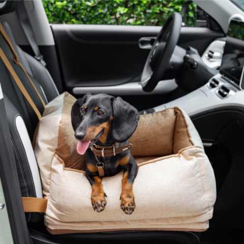 Bilbarnstol för hund – Komfort och säkerhet i bilen