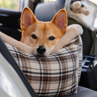 Panchina da Viaggio per Cani – Confortevole e Facile da Installare 