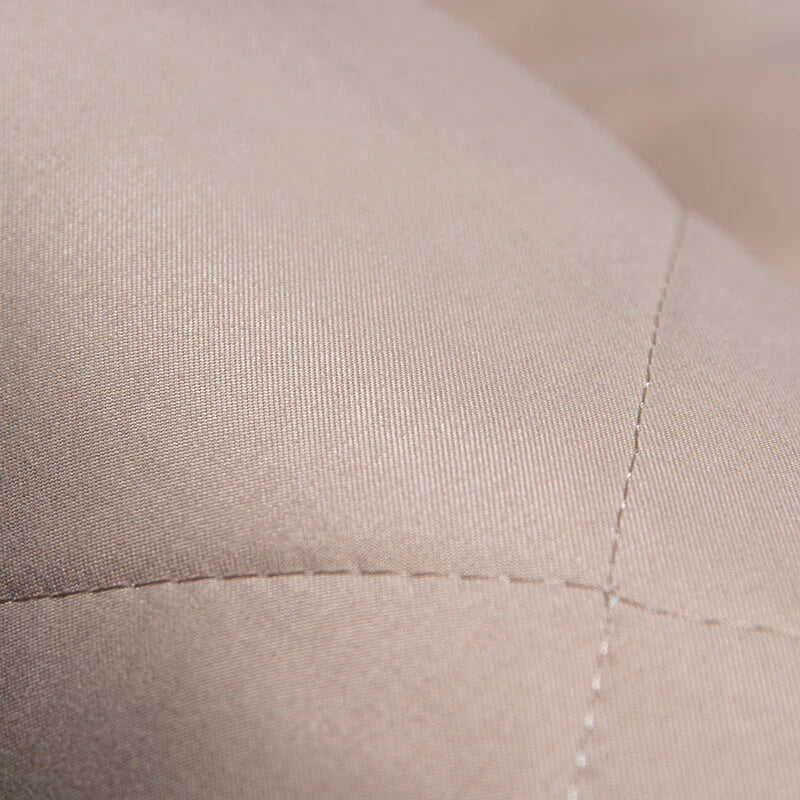 Autostolsbeskytter til kæledyr - nem og sikker installation