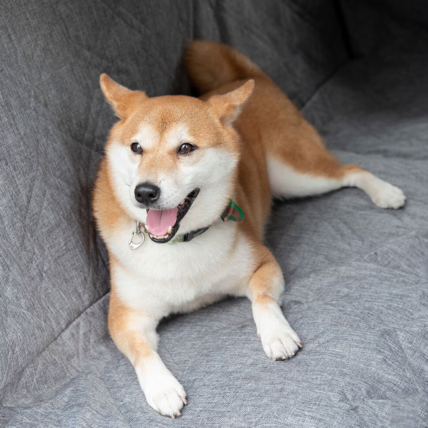 犬用防水シートカバーと傷に強いシートカバー 